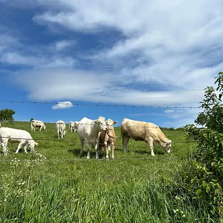 Kirchberg - Am Rhein *