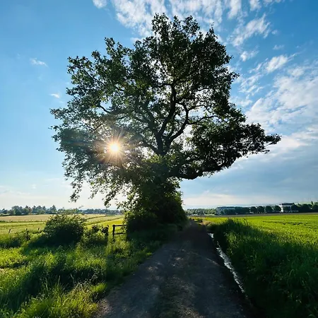 Kirchberg - Am Rhein * Andernach