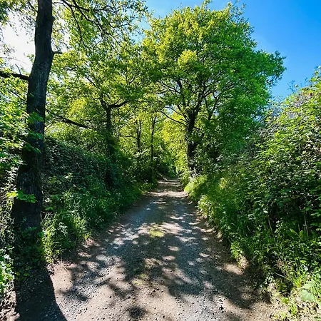 Kirchberg - Am Rhein Appartement *