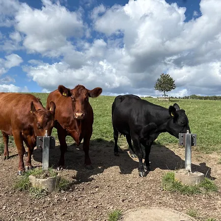 Appartement Kirchberg - Am Rhein Andernach