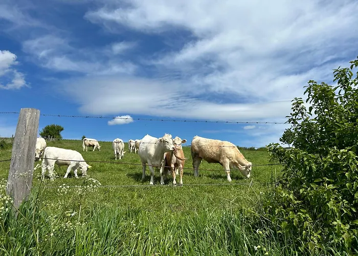 Kirchberg - Am Rhein *