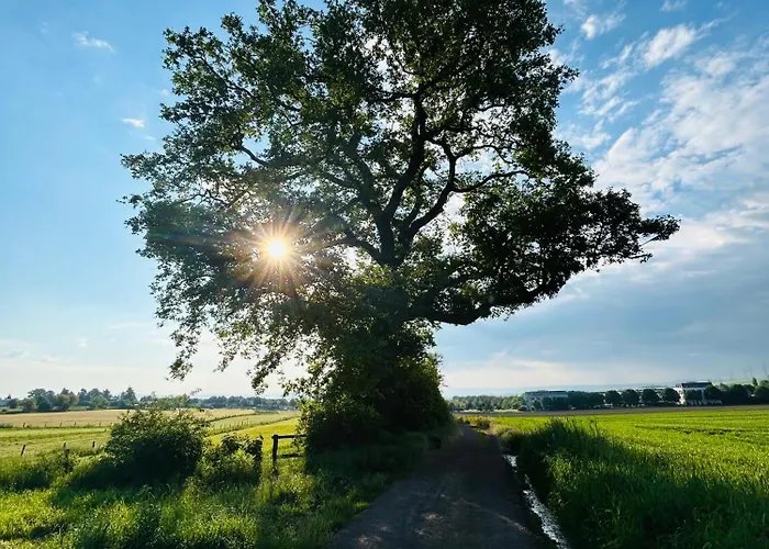 Kirchberg - Am Rhein * Andernach