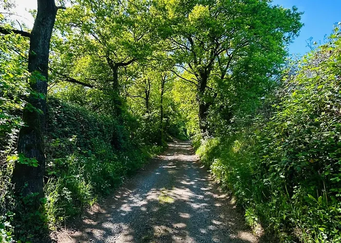 Kirchberg - Am Rhein Apartment *