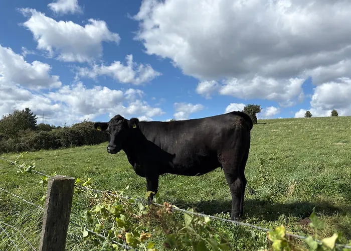 Kirchberg - Am Rhein * Andernach