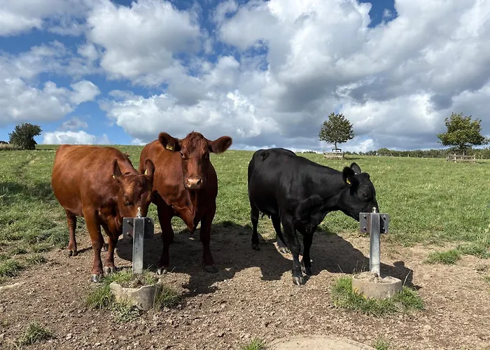 Apartamento Kirchberg - Am Rhein Andernach